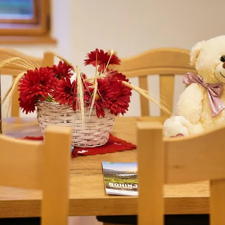 Metropolitana's Zois * 博希尼