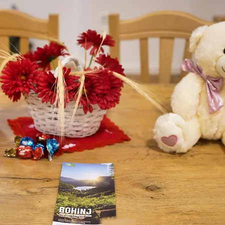 Metropolitana's Zois Apartamento Bohinj