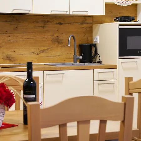 Metropolitana's Zois *