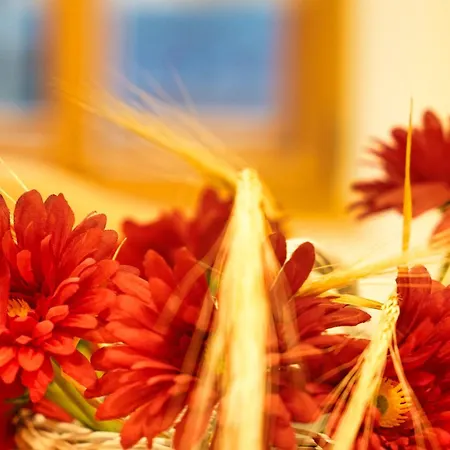 Apartamento Metropolitana's Zois *