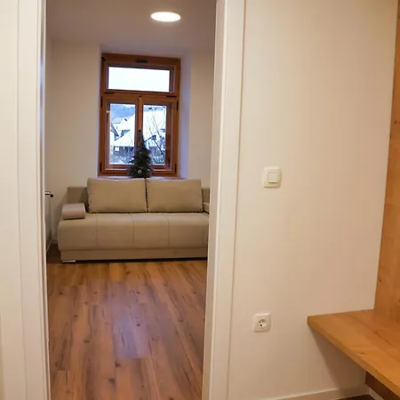 Metropolitana's Zois *