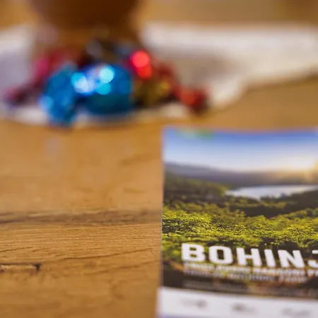 Metropolitana's Zois Bohinji-tó