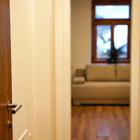 Metropolitana's Zois Bohinj