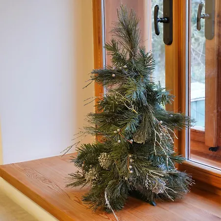 Metropolitana's Zois *