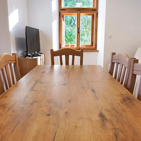 Metropolitana's Zois *