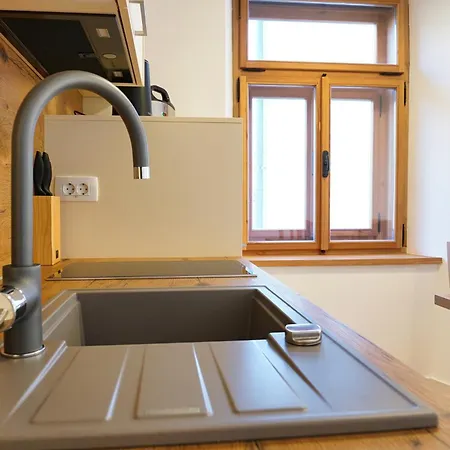 Metropolitana's Zois Bohinj