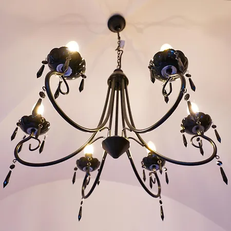 Metropolitana's Zois * Bohinj