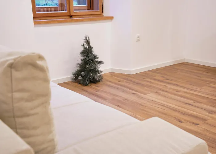 Metropolitana's Zois 博希尼