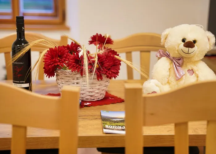 Metropolitana's Zois * 博希尼