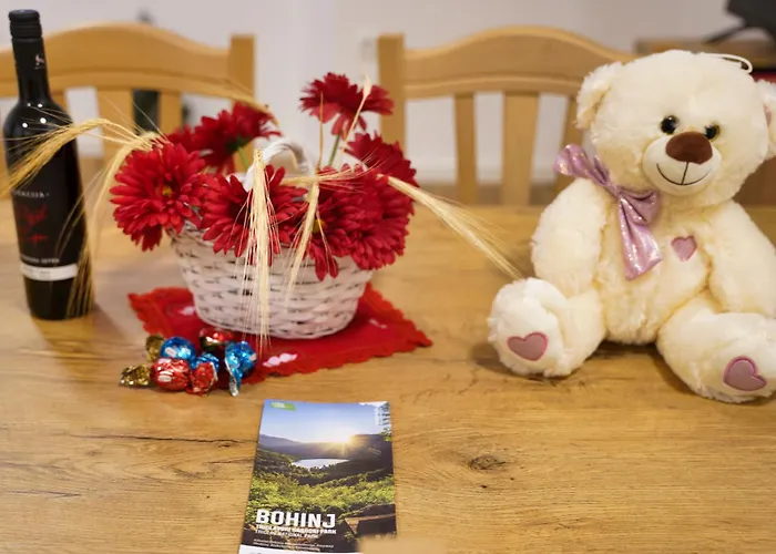 Metropolitana's Zois 公寓 博希尼