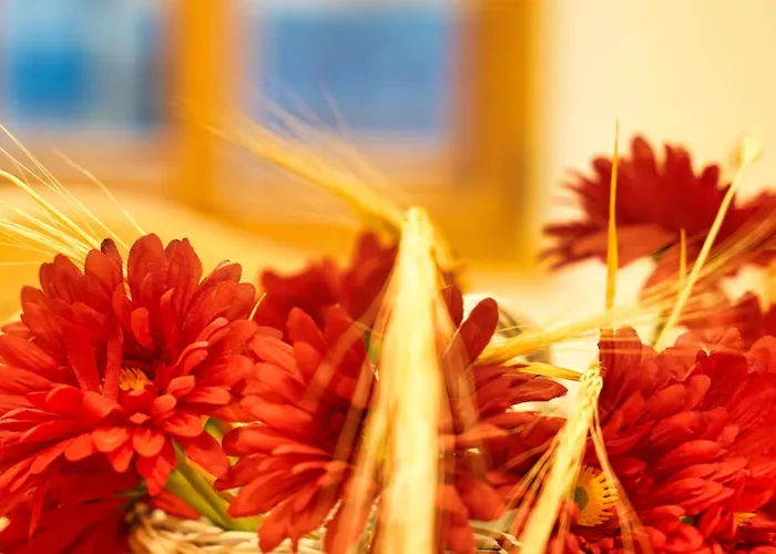 Apartma Metropolitana's Zois *