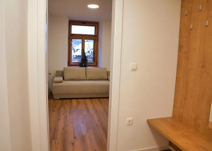 Metropolitana's Zois *