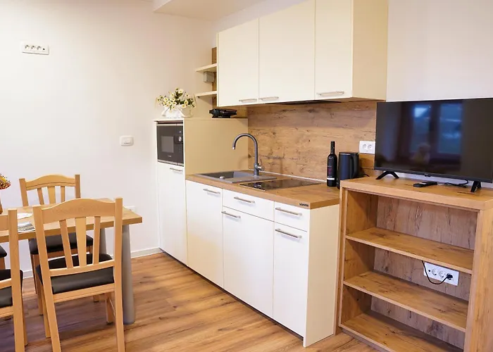 Metropolitana's Zois * 博希尼