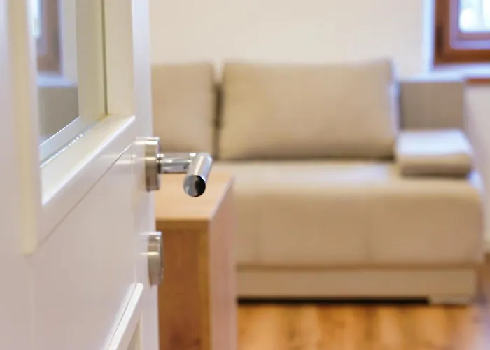 Metropolitana's Zois Bohinj