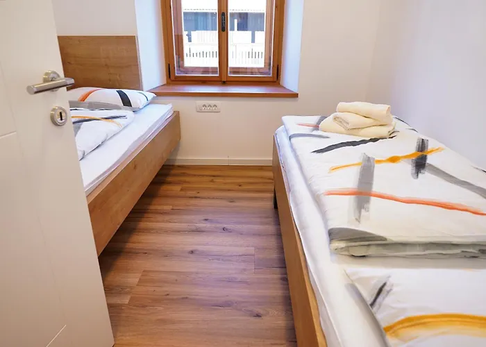 Metropolitana's Zois * 博希尼