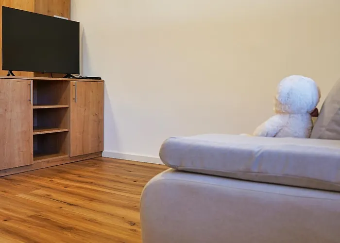 Metropolitana's Zois