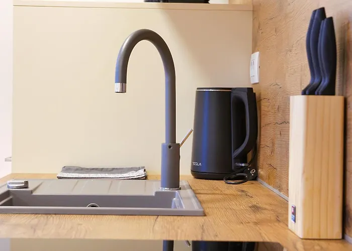 Metropolitana's Zois *