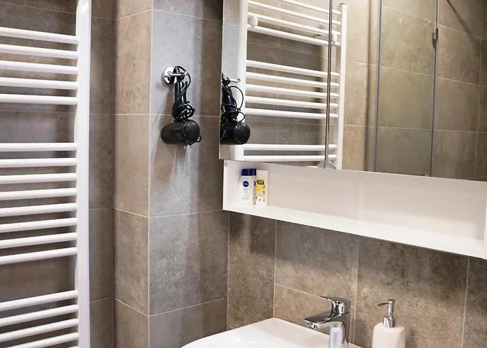 Metropolitana's Zois 博希尼