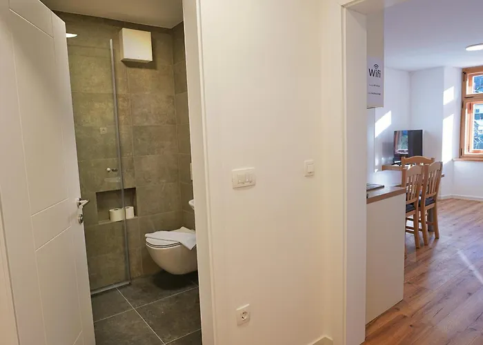 Apartma Metropolitana's Zois