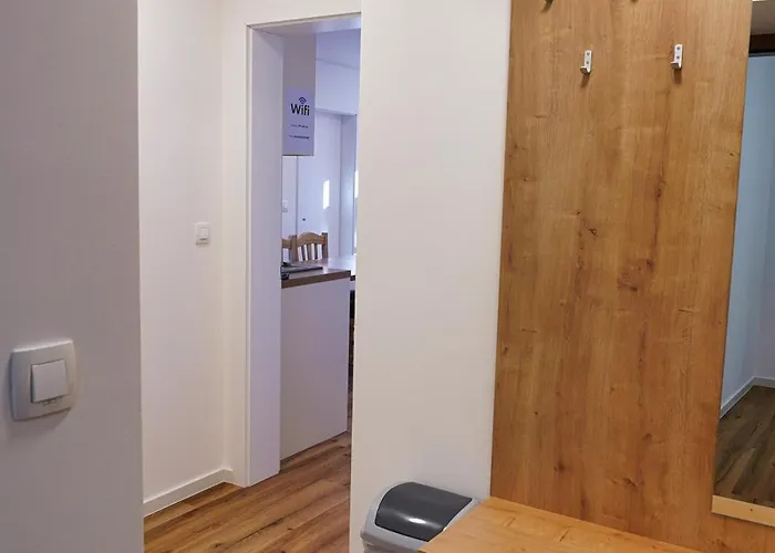 Metropolitana's Zois 博希尼