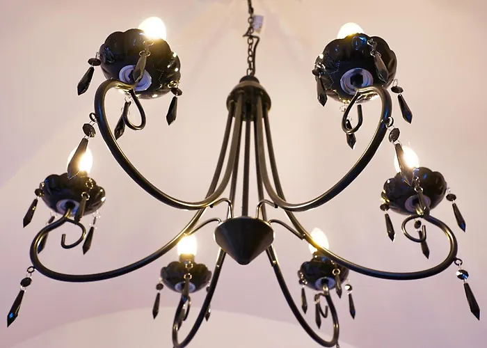 Metropolitana's Zois * 博希尼