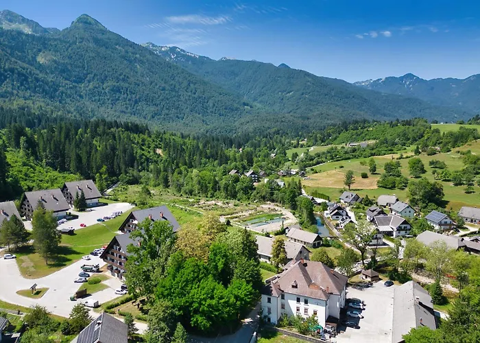 Metropolitana's Zois 博希尼